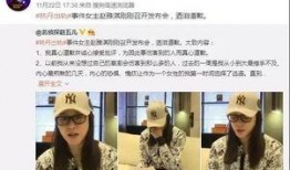 王云宏最新爆料新闻,揭秘娱乐圈惊人内幕